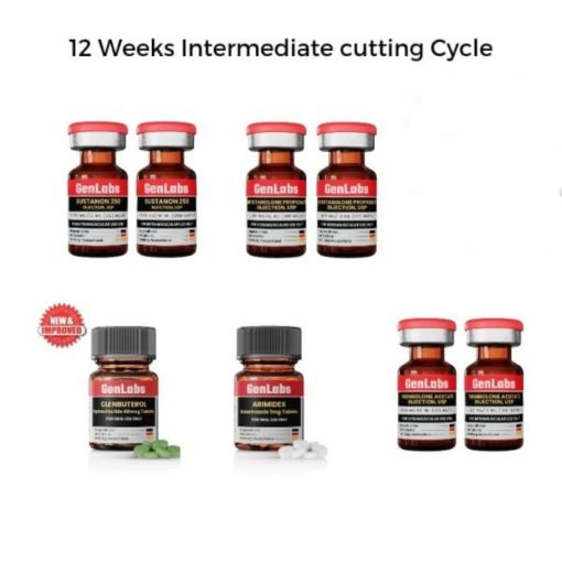 12 WEEKS INTERMEDIATE CUTTING CYCLE