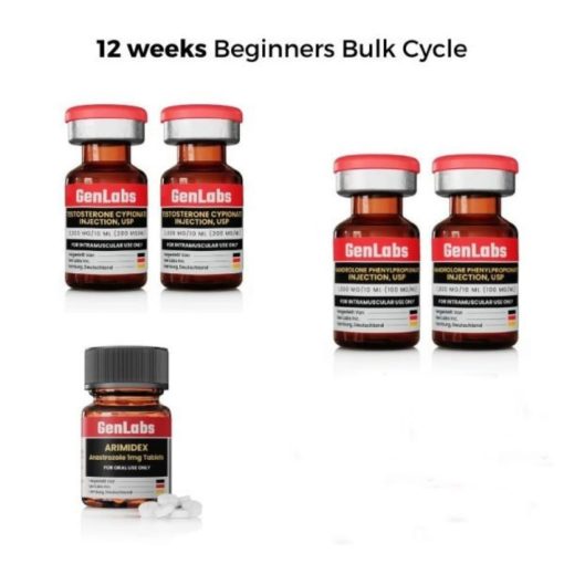 12 WEEKS BEGINNERS BULK CYCLE