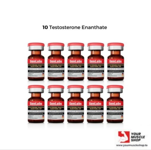 10 - TESTOSTERONE ENANTHATE 300MG / PER ML – GENLABS