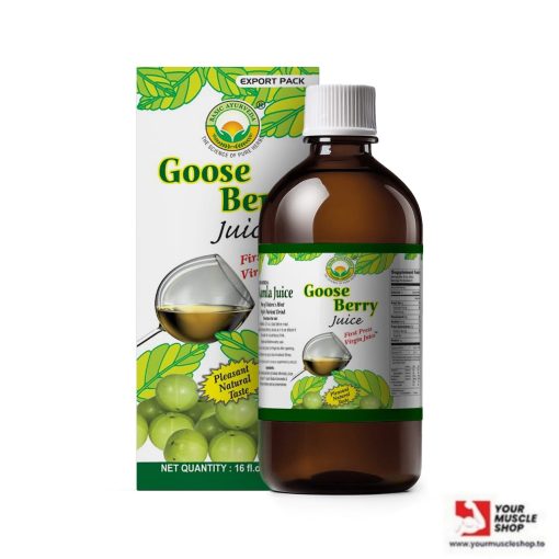 AMLA ( GOOSEBERRY JUICE ) 16.23 FL OZ / 480 ML - BASIC AYURVEDA