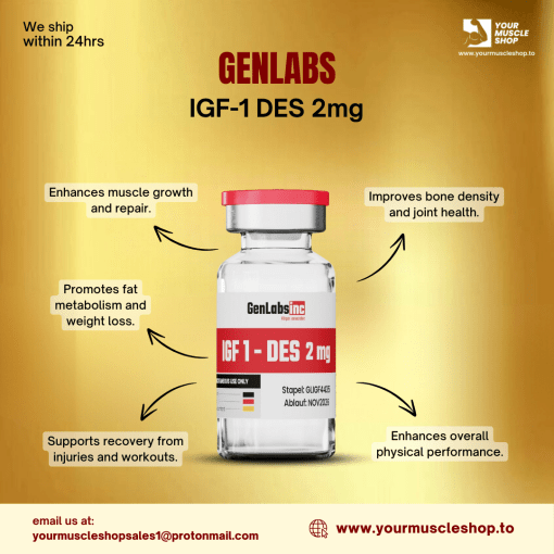IGF 1 – DES – 2MG/ VIAL – GENLABS - Image 2
