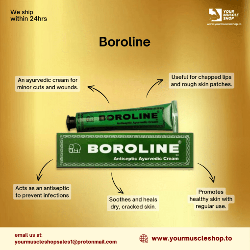 BOROLINE (ANTISEPTIC AYURVEDIC CREAM ) - [ 20GM TUBE ] - GD PHARMA - Image 2