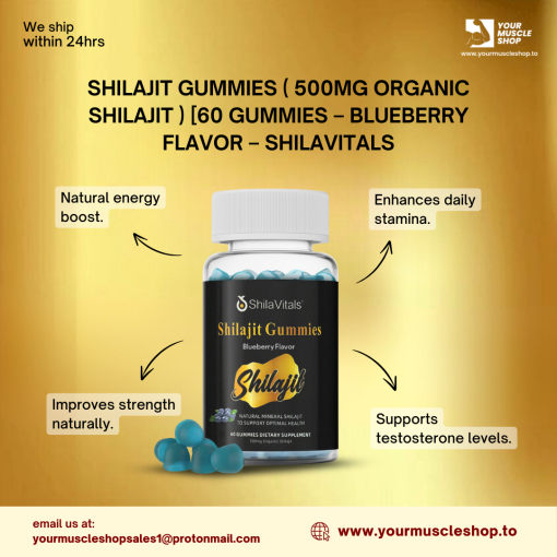 SHILAJIT GUMMIES ( 500MG ORGANIC SHILAJIT ) [60 GUMMIES - BLUEBERRY FLAVOR – SHILAVITALS - Image 3