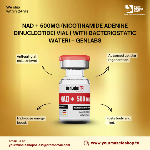 NAD + 500MG (NICOTINAMIDE ADENINE DINUCLEOTIDE) VIAL – GENLABS - Image 2