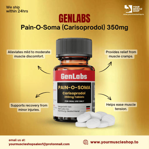 PAIN-O-SOMA (CARISOPRODOL) 350MG / PER TAB – 30 TABLETS – GENLABS - Image 3
