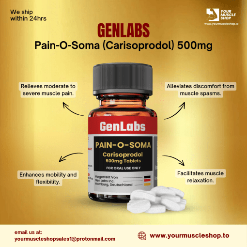 PAIN-O-SOMA (CARISOPRODOL) 500MG / PER TAB – 30 TABLETS – GENLABS - Image 3