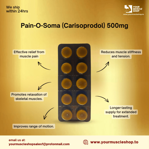 PAIN-O-SOMA (CARISOPRODOL) 500MG / PER TAB – HAB PHARMA [10 TABLETS FOIL PACK] - Image 2