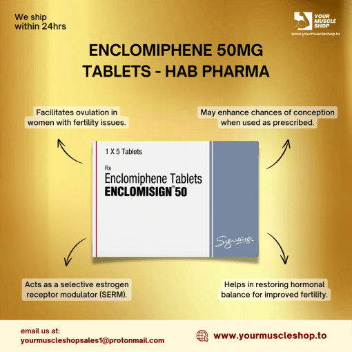 ENCLOMIPHENE 50MG TABLETS - HAB PHARMA - Image 2