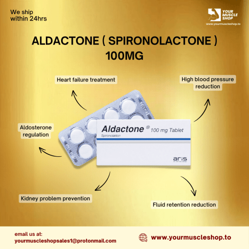 ALDACTONE ( SPIRONOLACTONE ) 100MG [16 Tablets] - ARIS - Image 2