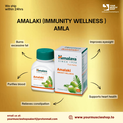 AMALAKI (IMMUNITY WELLNESS ) AMLA [ PROMOTES HEALTH ] - 60 NATURAL HERBAL TABLETS – HIMALAYA - Image 2