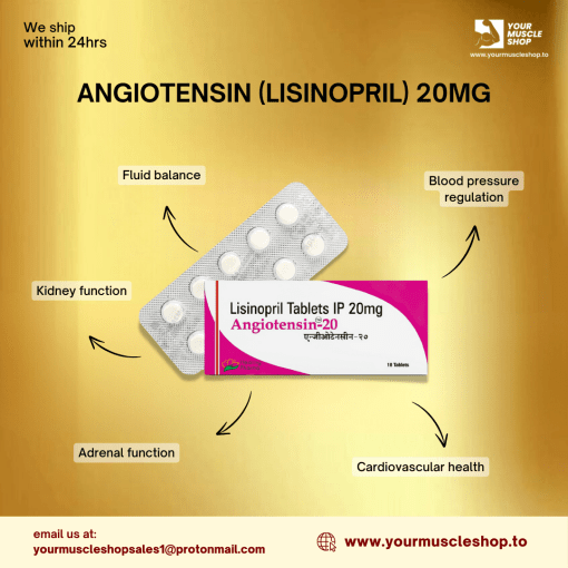 ANGIOTENSIN (LISINOPRIL) 20MG / PER TAB [10 TABLETS] - HEALING PHARMA - Image 2