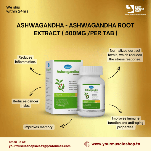 ASHWAGANDHA - ASHWAGANDHA ROOT EXTRACT ( 500MG /PER TAB )- [60 TABLETS] - LEEFORD - Image 2