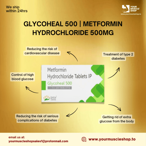 GLYCOHEAL 500 | METFORMIN HYDROCHLORIDE 500MG – 20 TABLETS - HEALING PHARMA - Image 2
