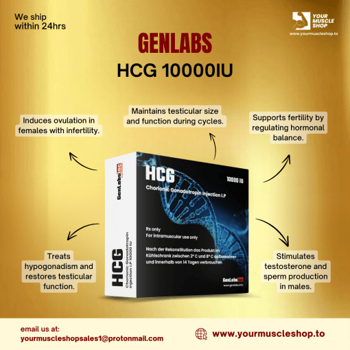 HCG 10000IU - VIAL ( HUMAN CHORIONIC GONADOTROPIN ) ( WITH BACTERIOSTATIC WATER) - GENLABS - Image 4