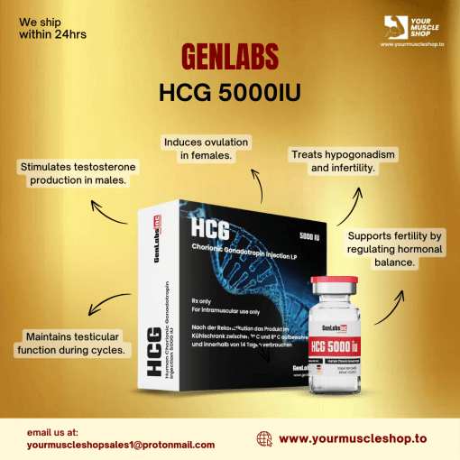 HCG 5000IU - VIAL ( HUMAN CHORIONIC GONADOTROPIN ) ( WITH BACTERIOSTATIC WATER) - GENLABS - Image 2