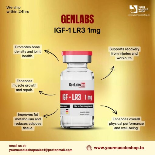 IGF-1 LR3 – 1MG/ VIAL (WITH BACTERIOSTATIC WATER)– GENLABS - Image 2