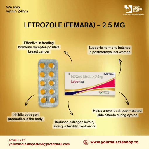 LETROZOLE (FEMARA) – 2.5 MG / PER TAB – HEALING PHARMA [30-TABLETS] - Image 2