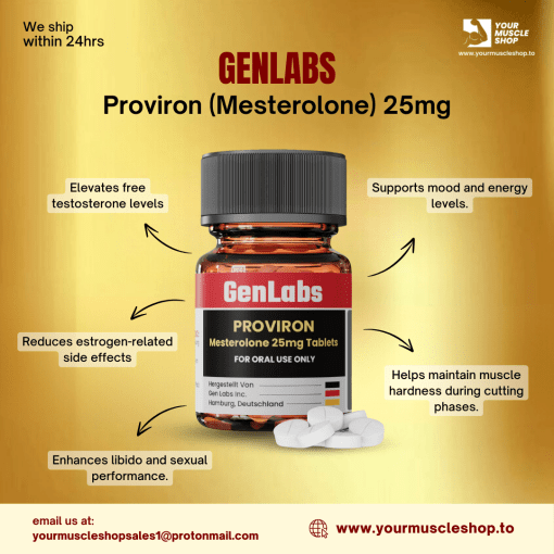 PROVIRON (MESTEROLONE) 25MG / PER TAB - 100 TABLETS – GENLABS - Image 2