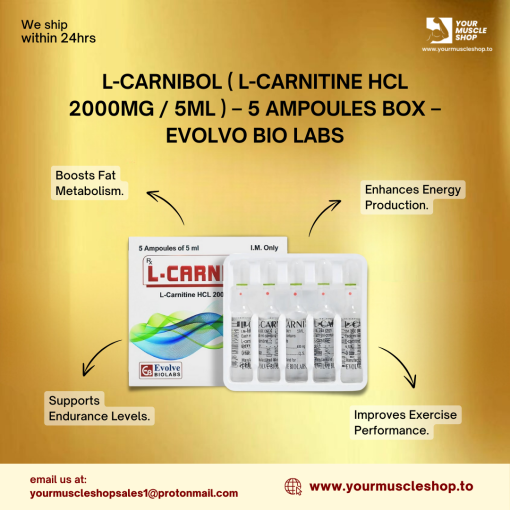 L-CARNIBOL ( L-CARNITINE HCL 2000MG / 5ML ) – 5 AMPOULES BOX – EVOLVO BIO LABS - Image 3