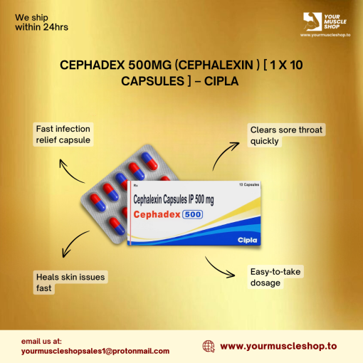 CEPHADEX 500MG (CEPHALEXIN ) [ 1 X 10 CAPSULES ] - CIPLA - Image 3